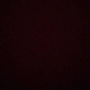 Meet your Posher, Kendyl